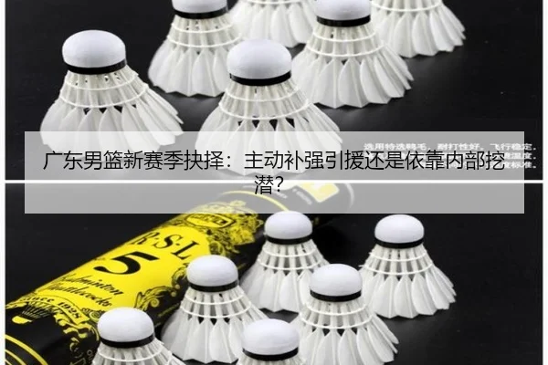 广东男篮新赛季抉择：主动补强引援还是依靠内部挖潜？